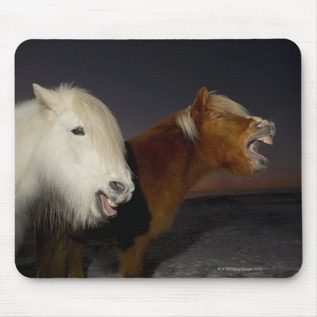 Zwei isländische Pferde Mousepad (Vorne)