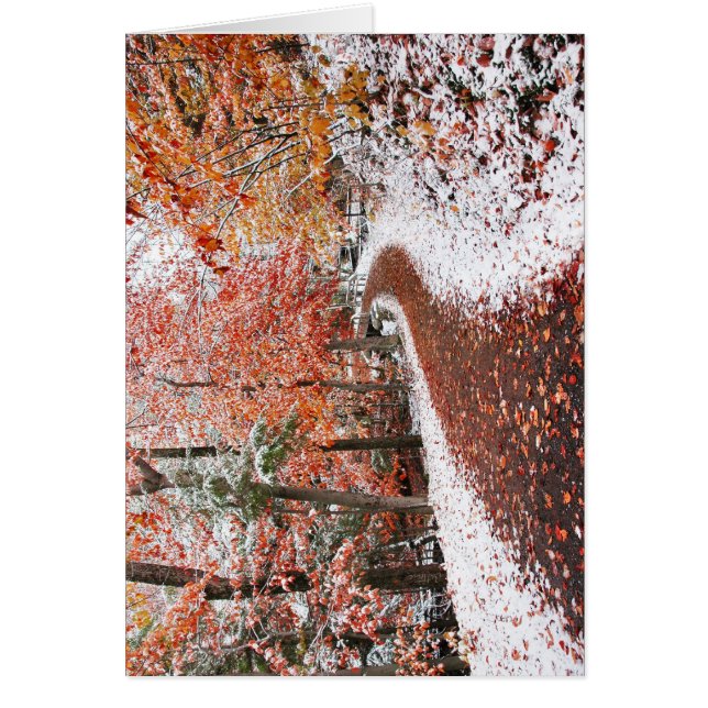 Zwei Jahreszeiten (Vorne)