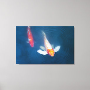Zwei japanische koi Fische im Teich Leinwanddruck