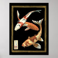 Zwei japanische Koi Goldfish auf schwarzem Hinterg