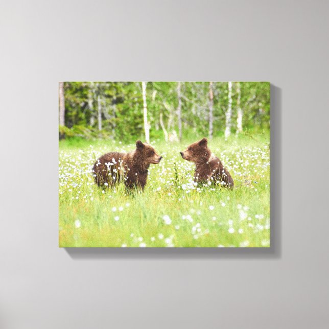 Zwei junge Braunbärenfreunde Leinwanddruck (Vorderseite)