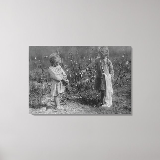 Zwei junge Mädchen pflücken Baumwollfotografie Leinwanddruck (Vorderseite)