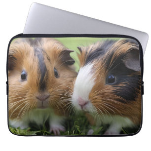 Zwei junge Schildpatt Meerschweinchen, Laptopschutzhülle