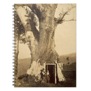Zwei Jungen am Eingang ihres Baumhauses, c.1870 Notizblock