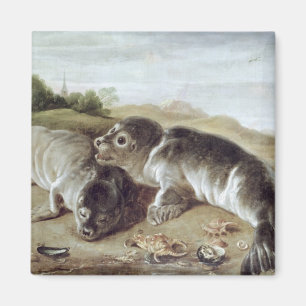 Zwei junges Siegel auf dem Ufer, c.1650 Magnet