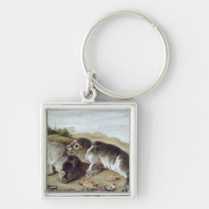 Zwei junges Siegel auf dem Ufer, c.1650 Schlüsselanhänger