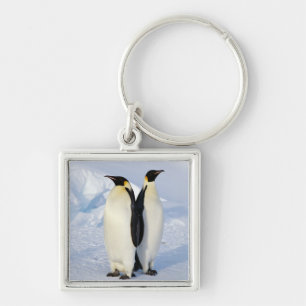 Zwei Kaiser-Pinguine in der Antarktis Schlüsselanhänger