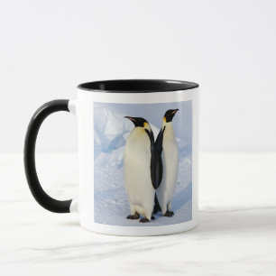 Zwei Kaiser-Pinguine in der Antarktis Tasse