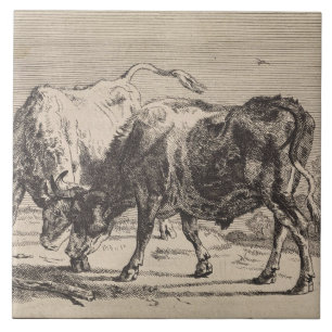 Zwei kämpfende Stiere (von Paulus Potter) Fliese