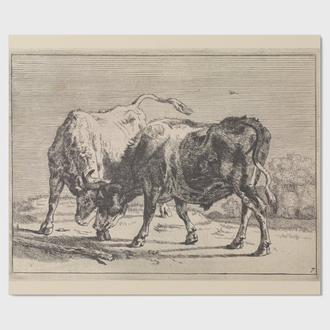 Zwei Kampfstiere (von Paulus Potter) Geschenkpapier (Flach)