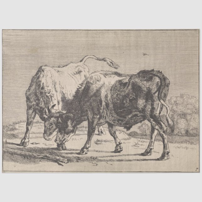 Zwei Kampfstiere (von Paulus Potter) Seidenpapier (Vorderseite)