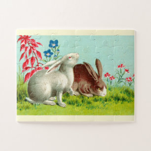 Zwei Kaninchen