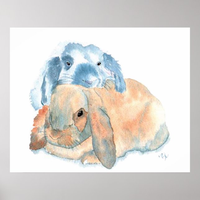Zwei Kaninchen drucken Poster (Vorne)