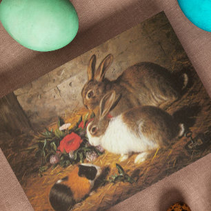 Zwei Kaninchen und eine Guinea