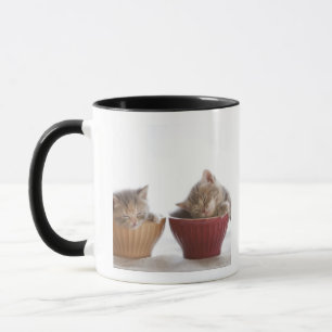 Zwei Kätzchen, die in den Schüsseln schlafen Tasse
