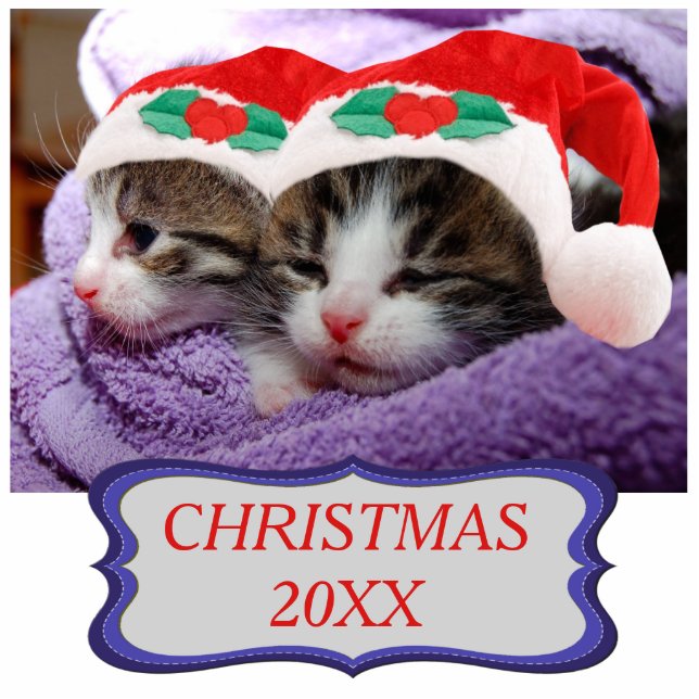 Zwei Kätzchen in Roten Weihnachtsmannmützen Weihna Fotoskulptur Ornament (Vorne)