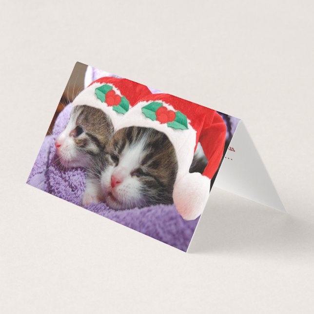 Zwei Kätzchen in Weihnachtsmannmützen Frohe Weihna (Vorderseite)