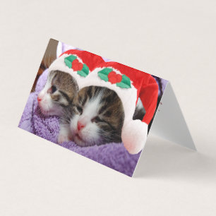 Zwei Kätzchen in Weihnachtsmannmützen Frohe Weihna