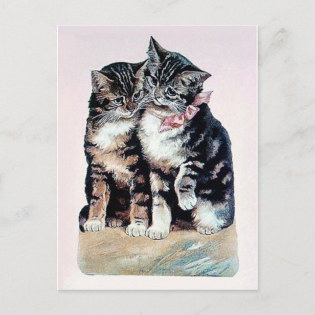 zwei Kätzchen Katzen niedliche Liebe bezaubernd li Postkarte (Vorderseite)