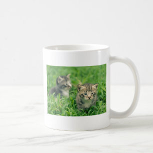 Zwei Kätzchen spielen im Gras Kaffeetasse