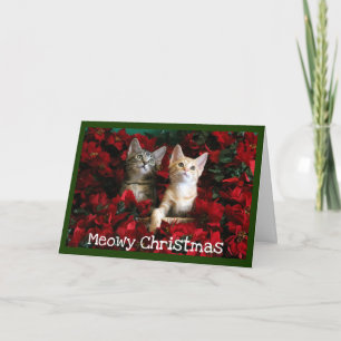 Zwei Kätzchen und Poinsettias Feiertagskarte