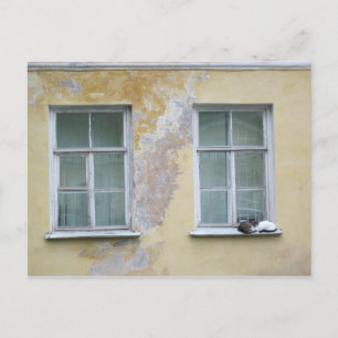 Zwei Katzen auf einem Kamm in St. Petersburg, Russ Postkarte