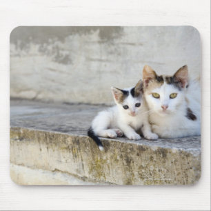 Zwei Katzen auf Steinschritten Mousepad