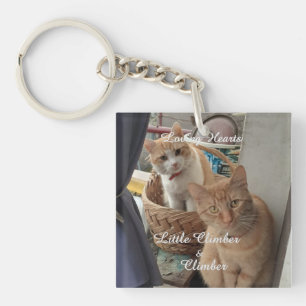 zwei Katzen , austauschbares Foto und Namen, Schlüsselanhänger