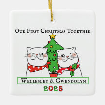 Zwei Katzen feiern ihr erstes Weihnachten zusammen
