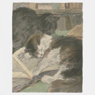 Zwei Katzen in der Bibliotheks-Fleecedecke Fleecedecke
