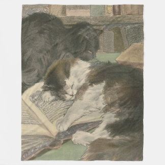 Zwei Katzen in der Bibliotheks-Fleecedecke Fleecedecke