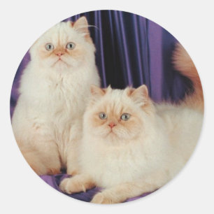 Zwei Katzen mit Runder Aufkleber
