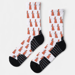Zwei Katzen schließen Freundschaft Socken