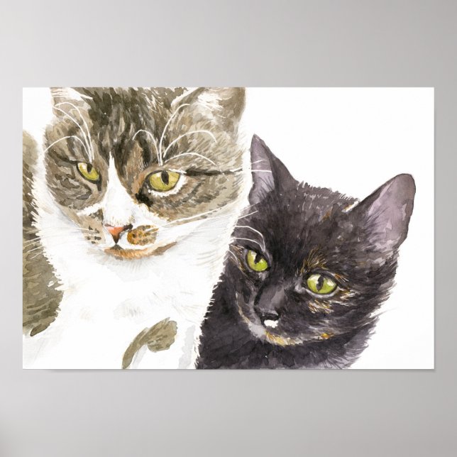 Zwei Katzen - Tabby und Tortie Poster (Vorne)