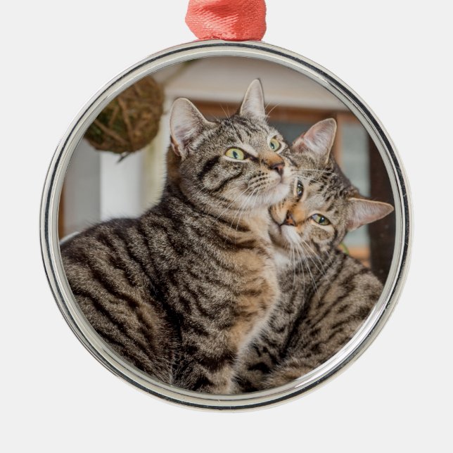 Zwei Katzen umarmt Ornament Aus Metall (Vorne)