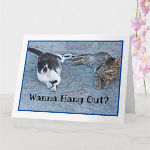 ZWEI KITTEN /WANNA HINTERLASSEN? /ICH HABE DICH VE KARTE