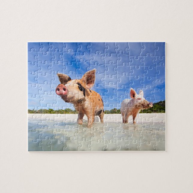 Zwei kleine Ferkel (Horizontal)