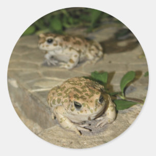 Zwei kleine Kröten - Druck des grünen Frosches Runder Aufkleber