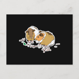 zwei kleine Meerschweinchen Postkarte