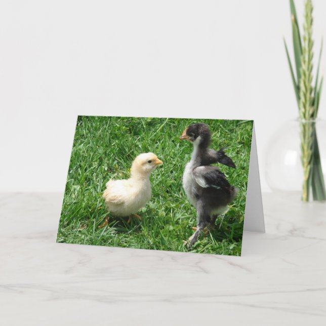 Zwei kleine Meinungsverschiedenheiten Karte (Vorderseite)