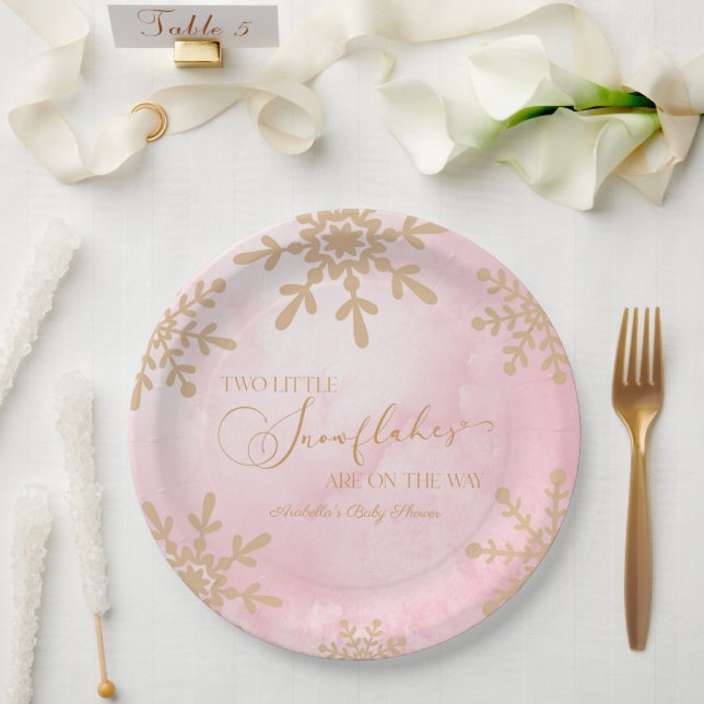 Zwei kleine Schneeflocken Winter Twins Kinderdusch Pappteller (Hochzeit)