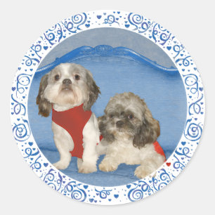 Zwei kleine Shih Tzu Rettungshunde Runder Aufkleber