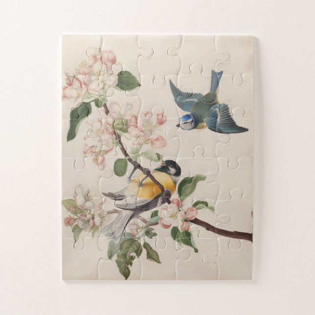 Zwei kleine Vögel in der Nähe eines Apfelblumenzwe (Vertikal)