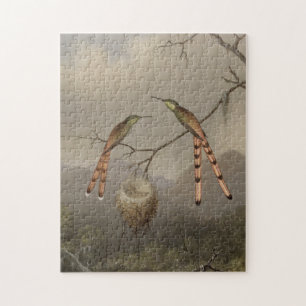 Zwei Kolibris mit ihren Jungen