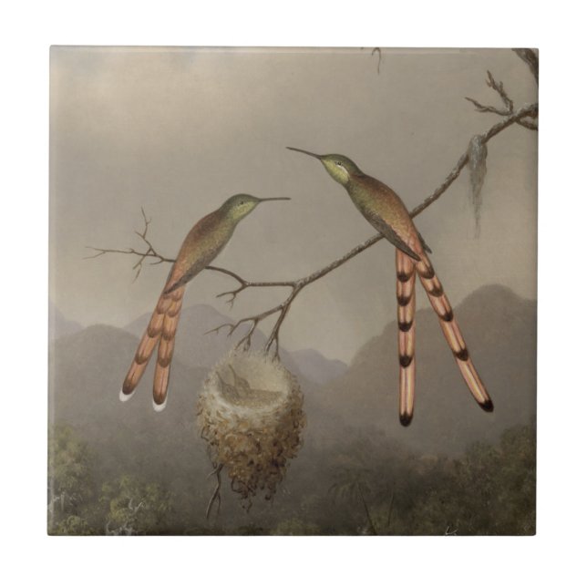 Zwei Kolibris mit ihren Jungen Fliese (Vorderseite)