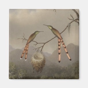 Zwei Kolibris mit ihren Jungen Magnet
