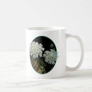 Zwei Königin Anne's Lace Kaffeetasse