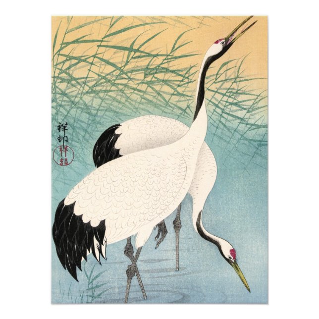Zwei Krane von Ohara Koson Fotodruck (Vorne)