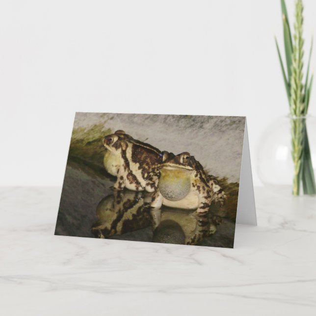 Zwei Kröten, die nach Küken Notecard suchen Karte (Vorderseite)