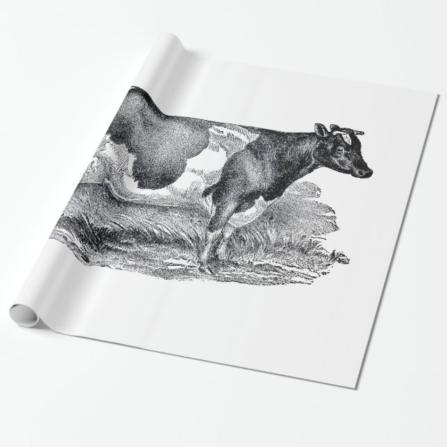Zwei Kuh-Packpapier Geschenkpapier (Ungerollt)